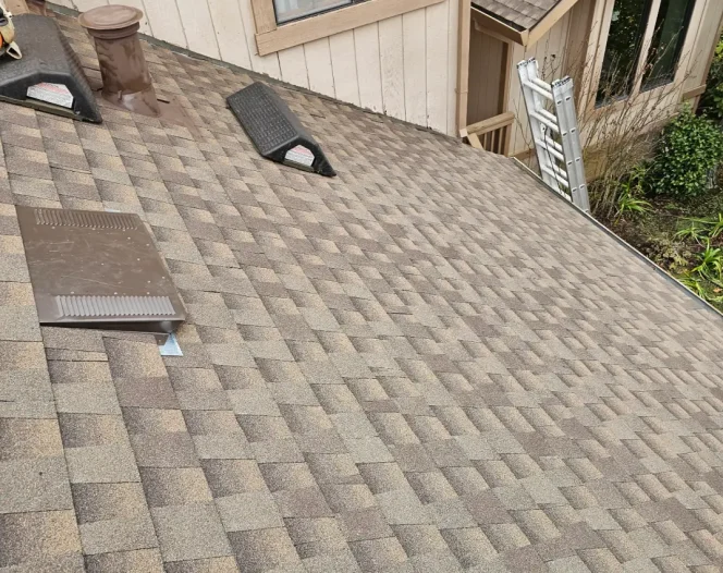 Roof City home image 1